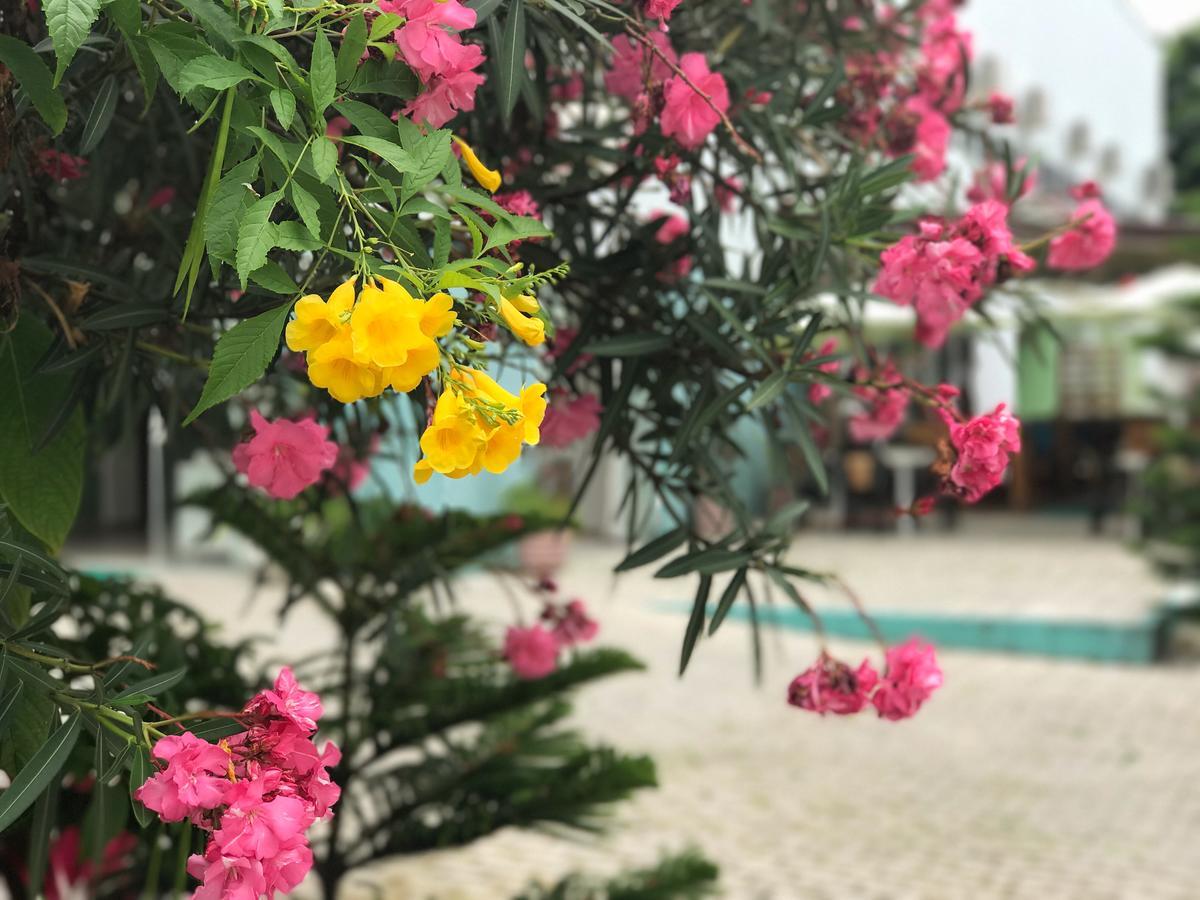 Scenarium Hotel Jaboatao dos Guararapes Kültér fotó