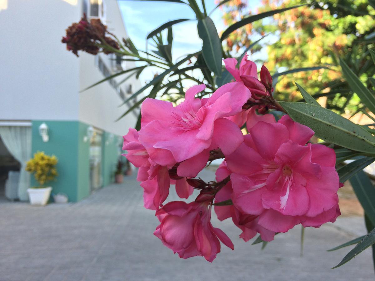 Scenarium Hotel Jaboatao dos Guararapes Kültér fotó